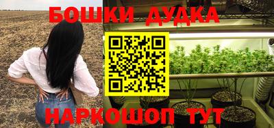 PSILOCYBIN Балахна