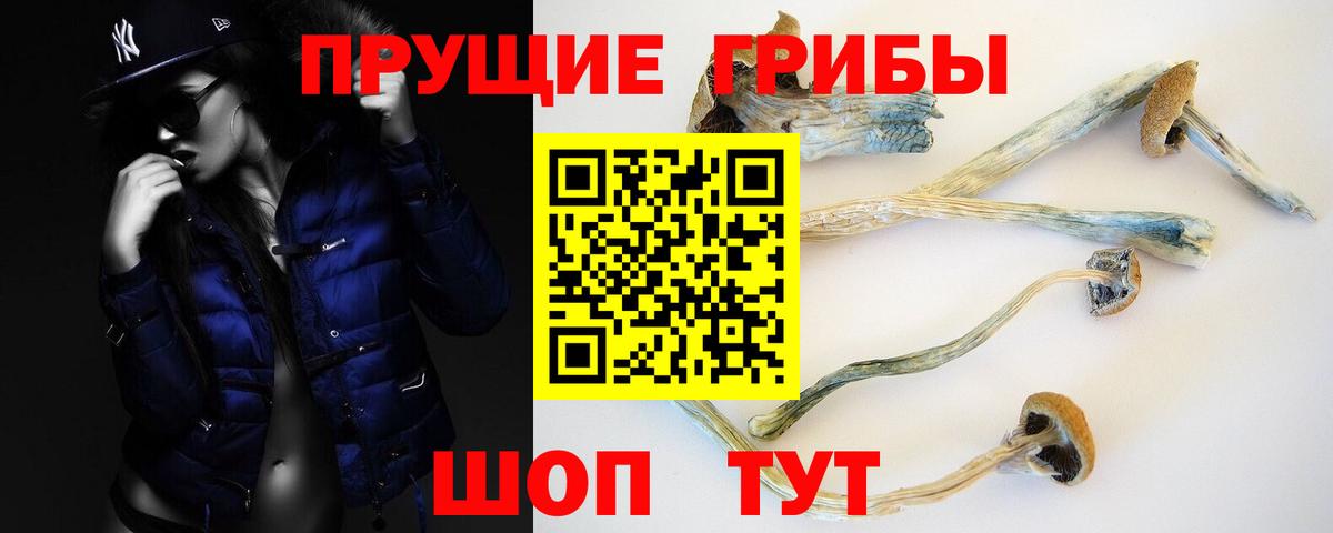 Псилоцибиновые грибы MAGIC MUSHROOMS Жигулёвск